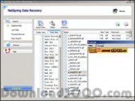 Netspring Data Recovery screenshot